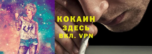 ГАЛЛЮЦИНОГЕННЫЕ ГРИБЫ Медвежьегорск