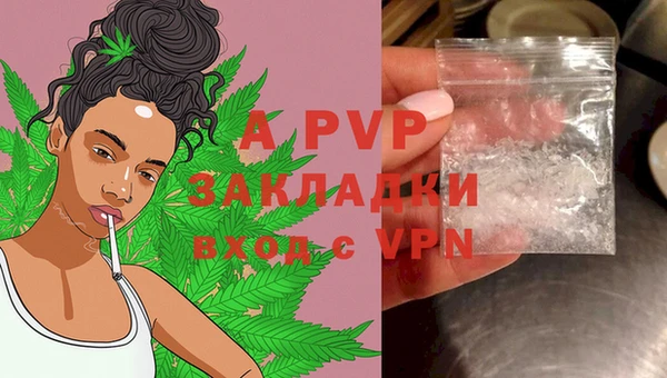 ГАЛЛЮЦИНОГЕННЫЕ ГРИБЫ Медвежьегорск