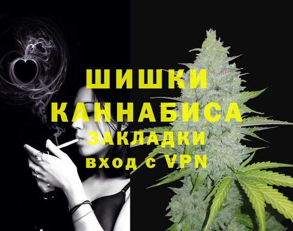 ГАЛЛЮЦИНОГЕННЫЕ ГРИБЫ Медвежьегорск