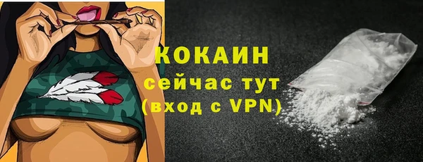 ГАЛЛЮЦИНОГЕННЫЕ ГРИБЫ Медвежьегорск