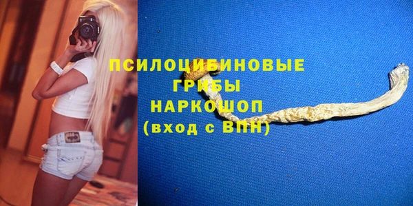 ГАЛЛЮЦИНОГЕННЫЕ ГРИБЫ Медвежьегорск