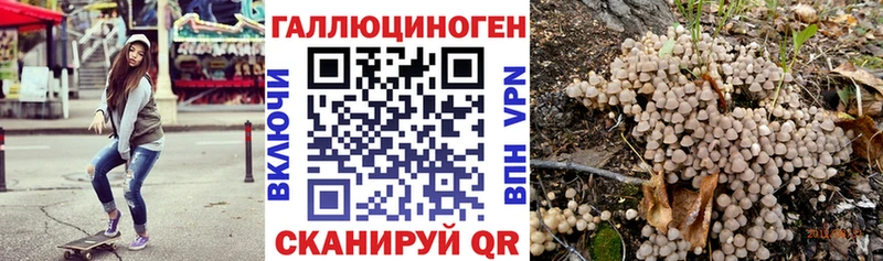 Псилоцибиновые грибы Cubensis  Купить  Ленинградская 