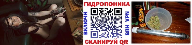 Купить где  Ленинградская  Бошки Шишки планчик 